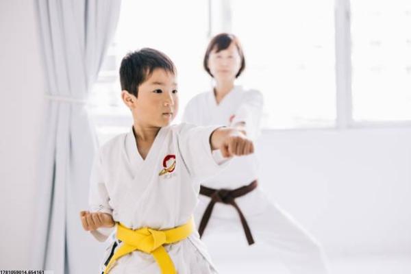 日本体育项目的发展与社会影响